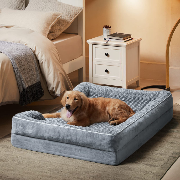Couch dog beds deals for large dogs